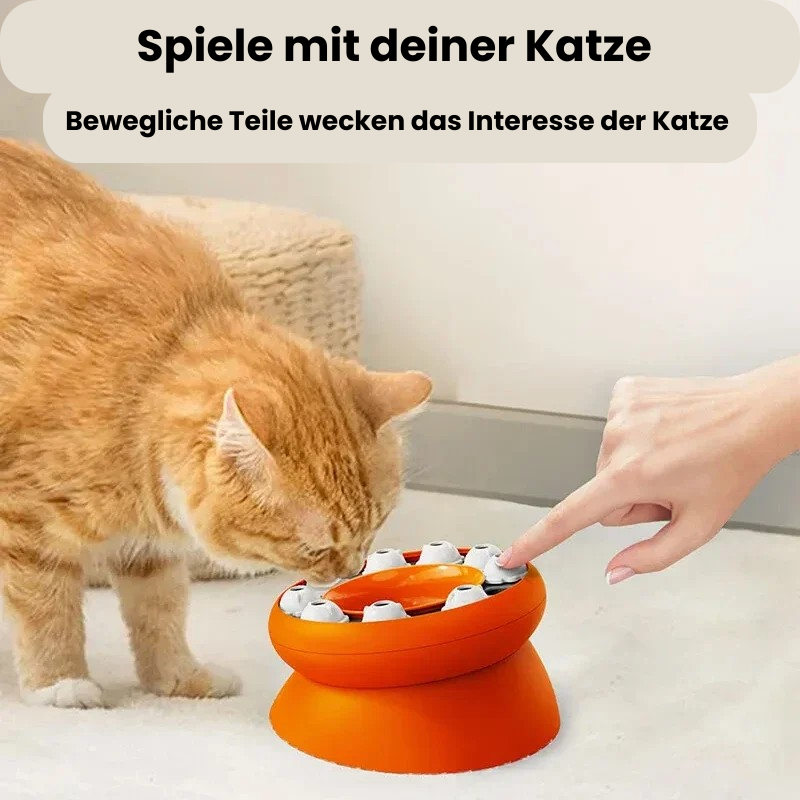 SlowFeeder