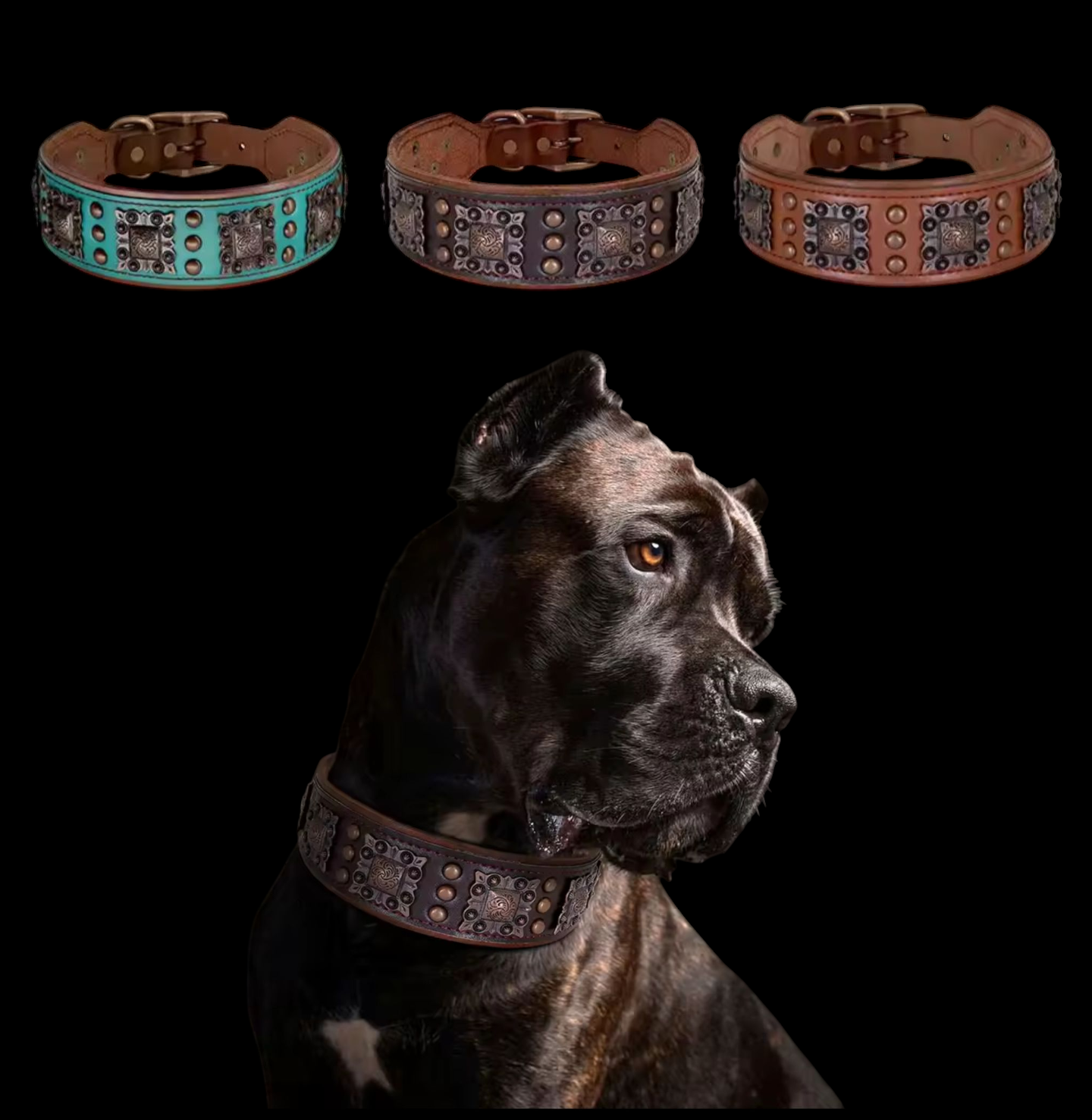 SteelPaw Deluxe Hundehalsband