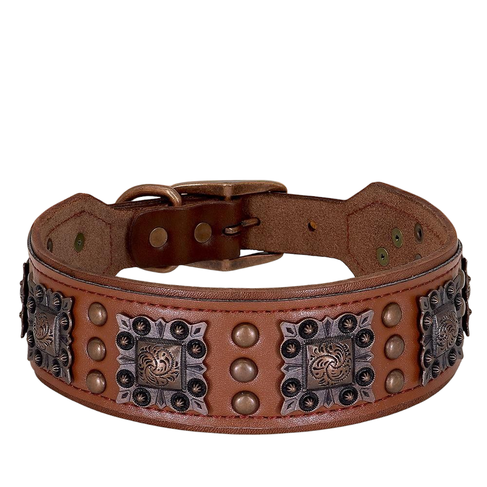 SteelPaw Deluxe Hundehalsband