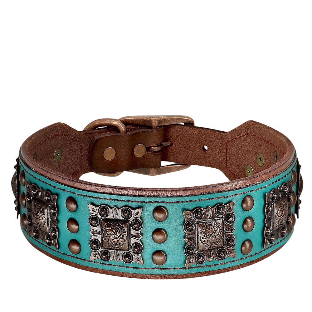 SteelPaw Deluxe Hundehalsband