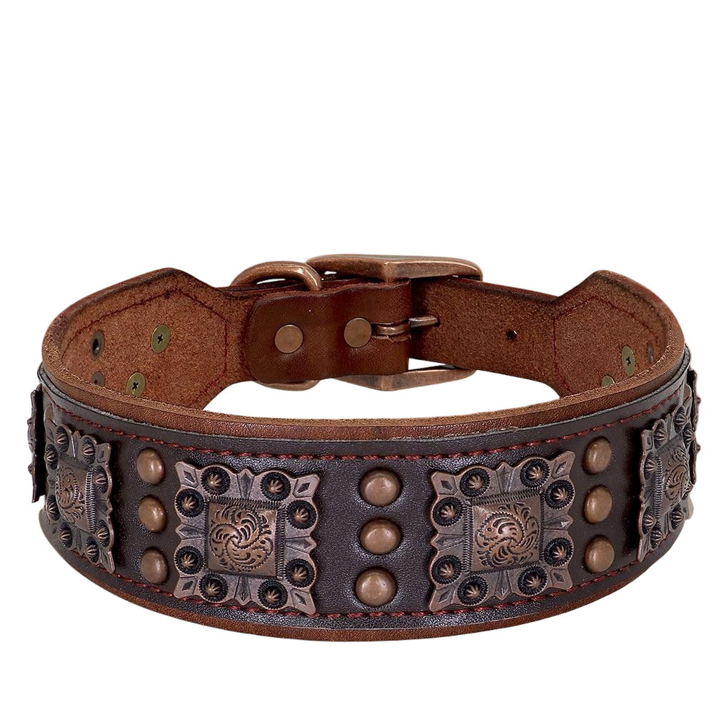 SteelPaw Deluxe Hundehalsband