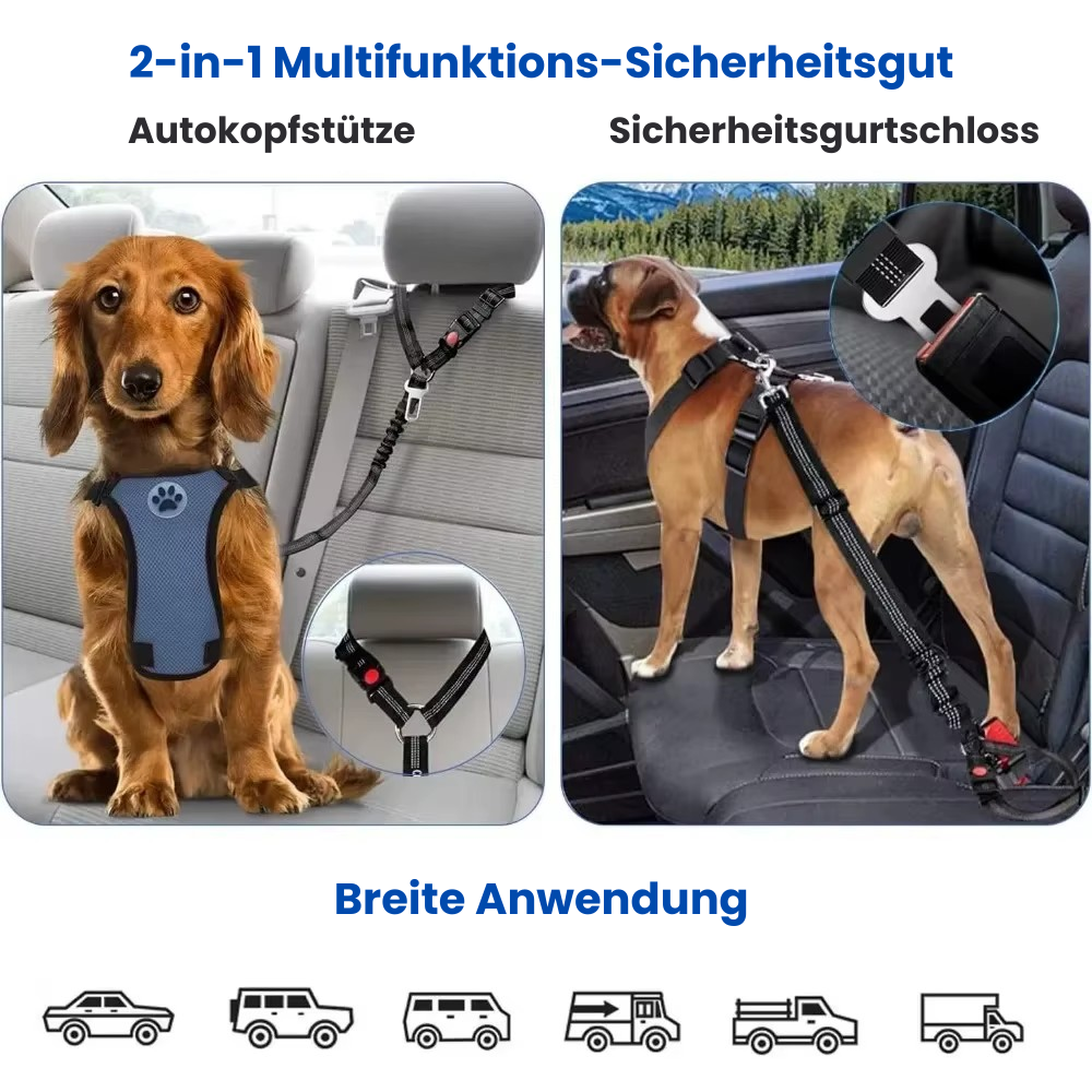DogSecure Auto-Sicherheitsgurt