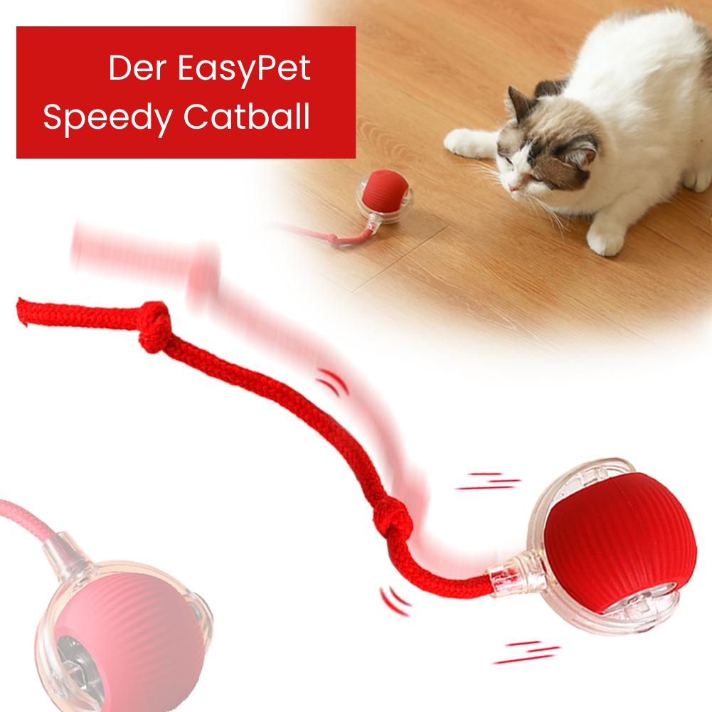 Speedy Catball
