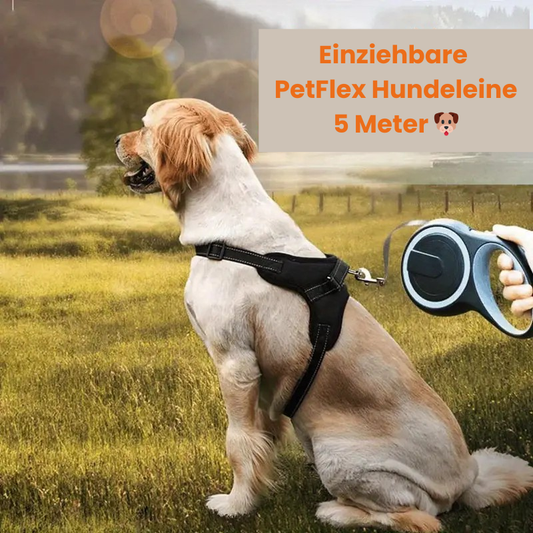 PetFlex Hundeleine