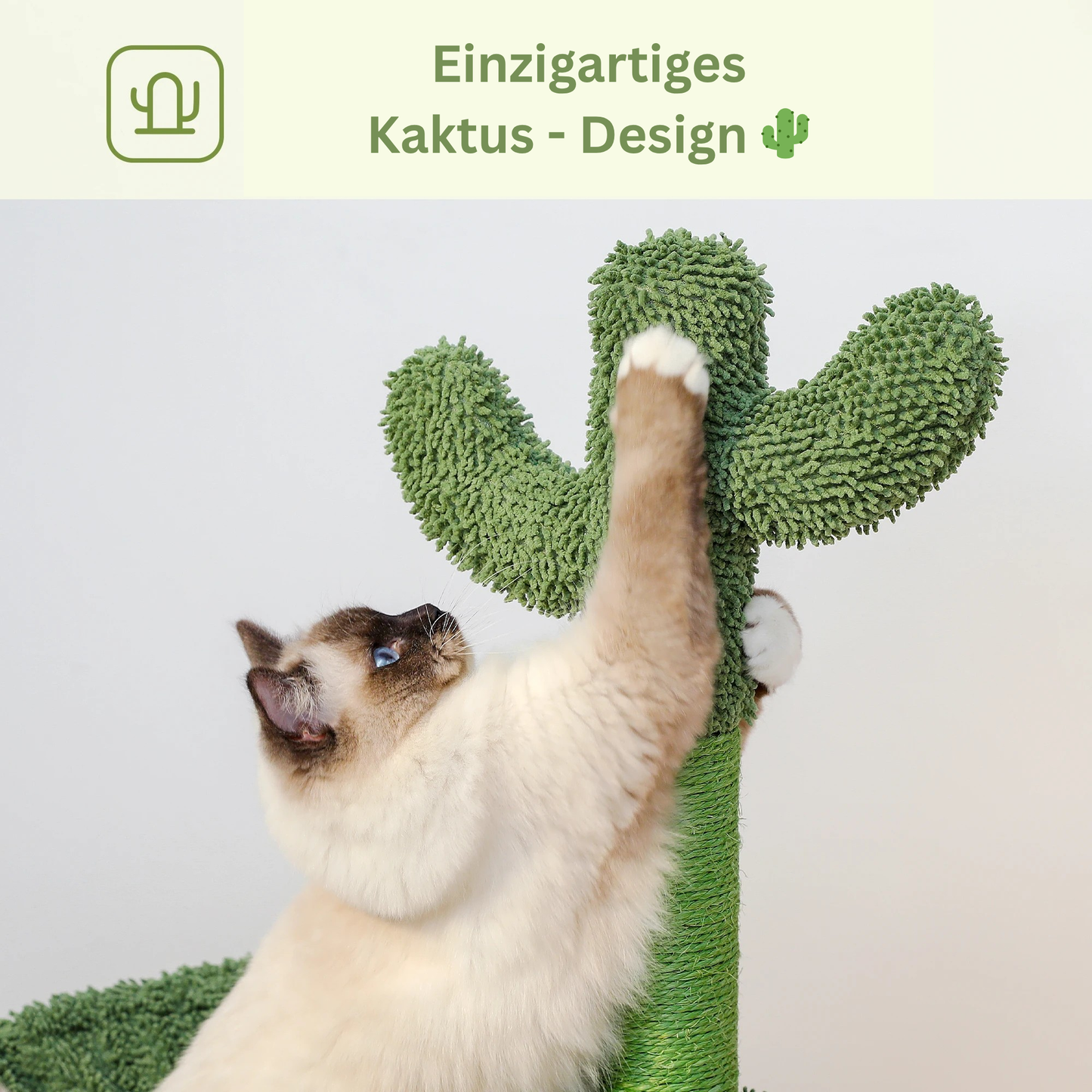 🌵Kaktus-Kratzbaum
mit Hängematte und Höhle