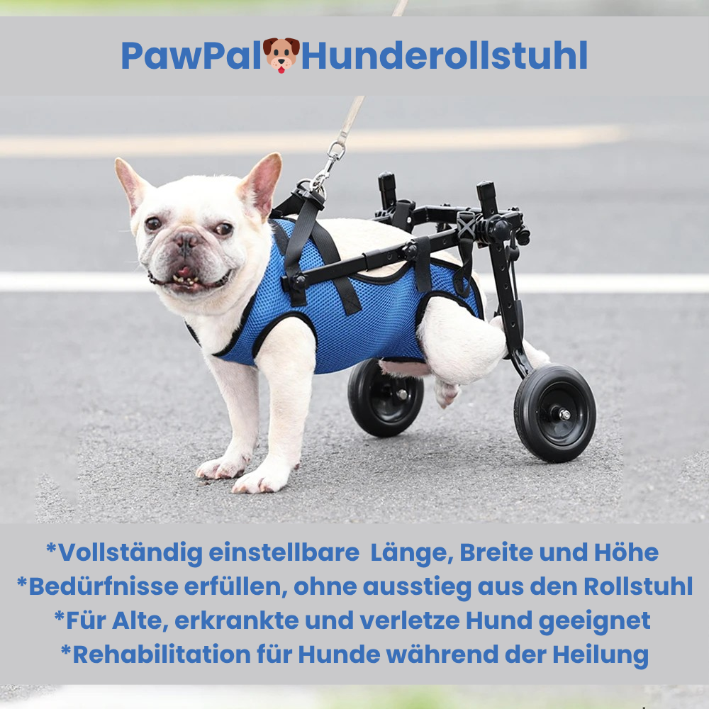 PawPal🐶Hunderollstuhl