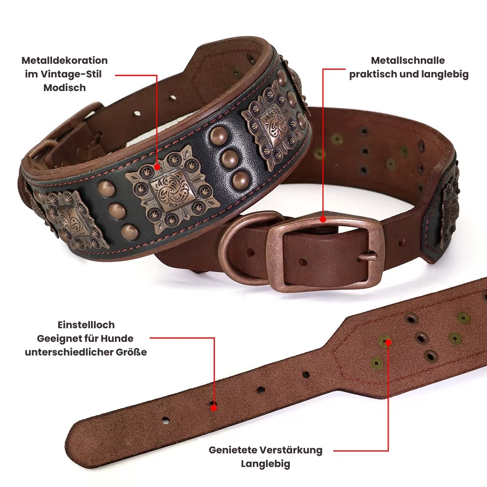 SteelPaw Deluxe Hundehalsband