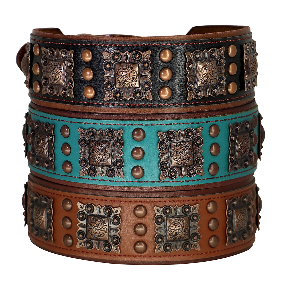 SteelPaw Deluxe Hundehalsband