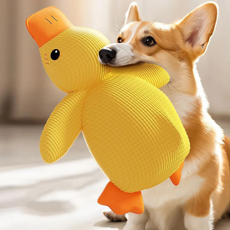 Quaki die Ente