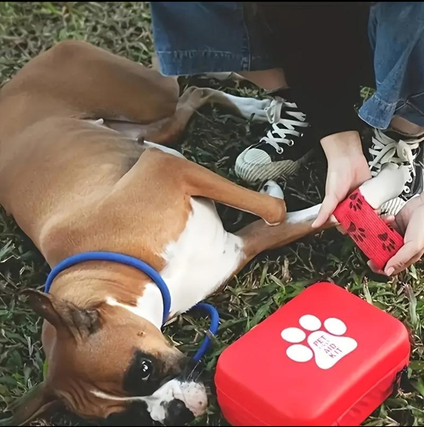 PetCare Notfallkit🐾💊