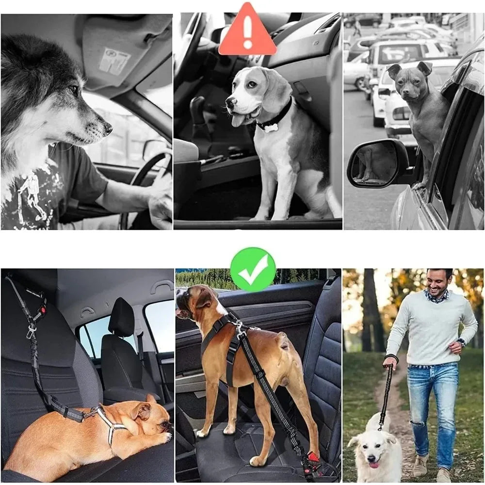 DogSecure Auto-Sicherheitsgurt