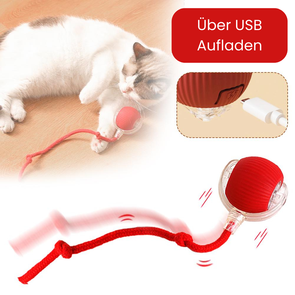 Speedy Catball