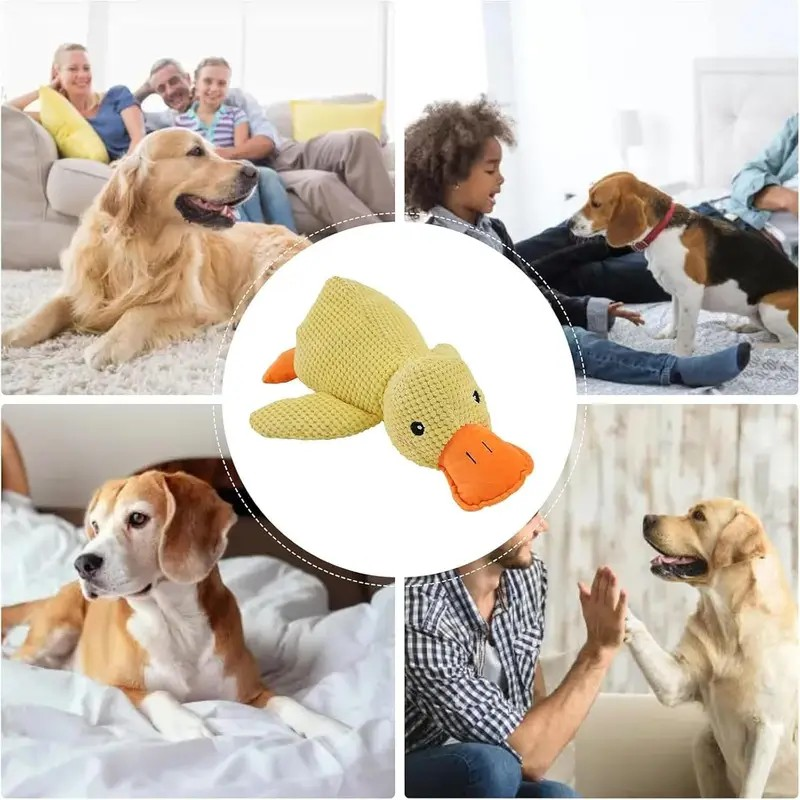 Quaki die Ente