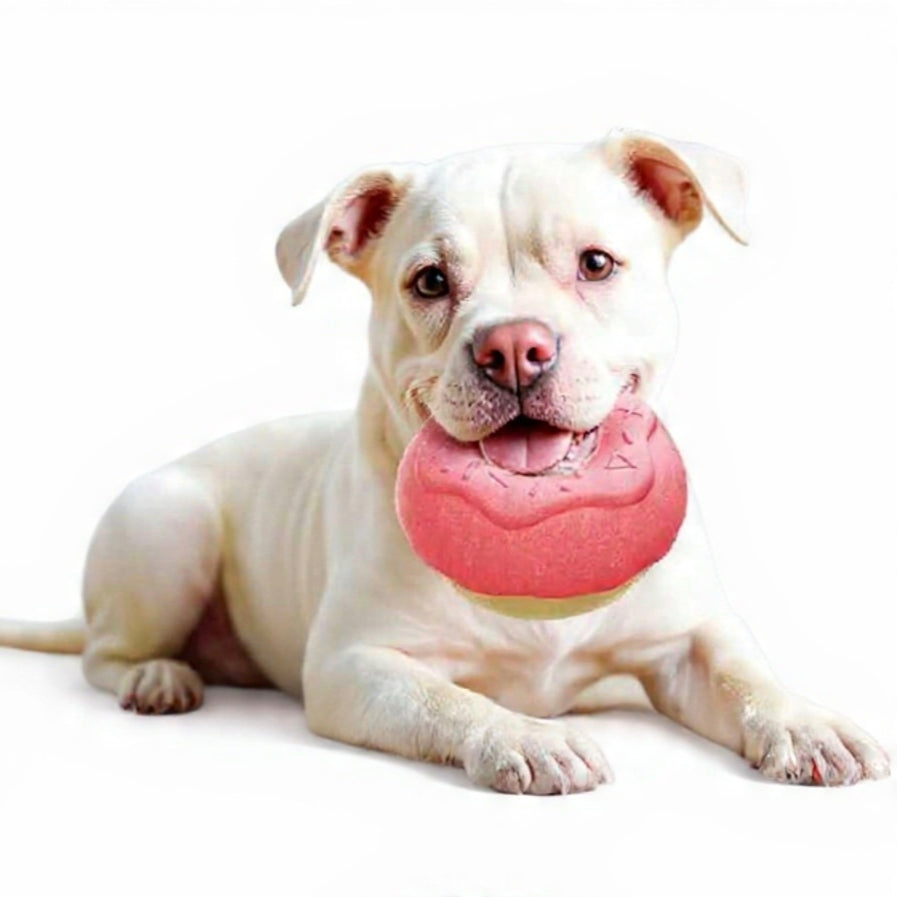 ❄️ FrostBite 
Kühlendes Kauspielzeug für Hunde