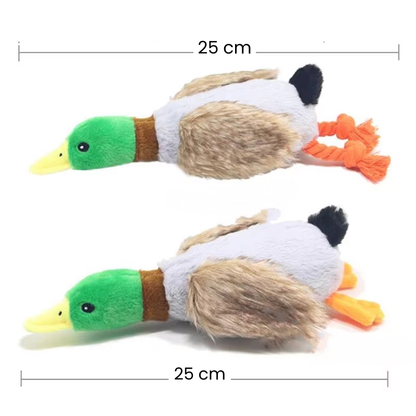 Quaki die Ente – Interaktives Hundespielzeug mit Sound