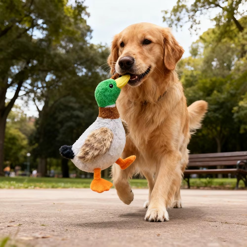 Quaki die Ente – Interaktives Hundespielzeug mit Sound