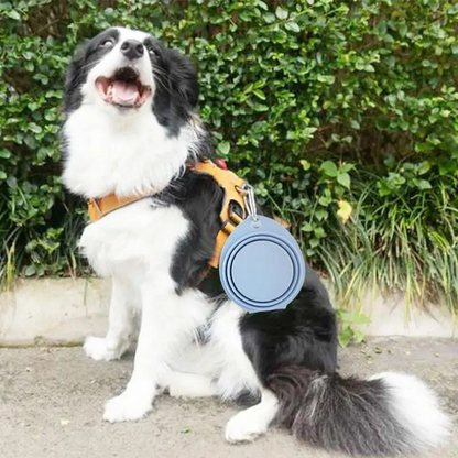 PawPortion🐶
Zusammenklappbare Hundeschüssel