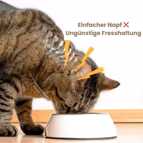 Felis KomfortNapf