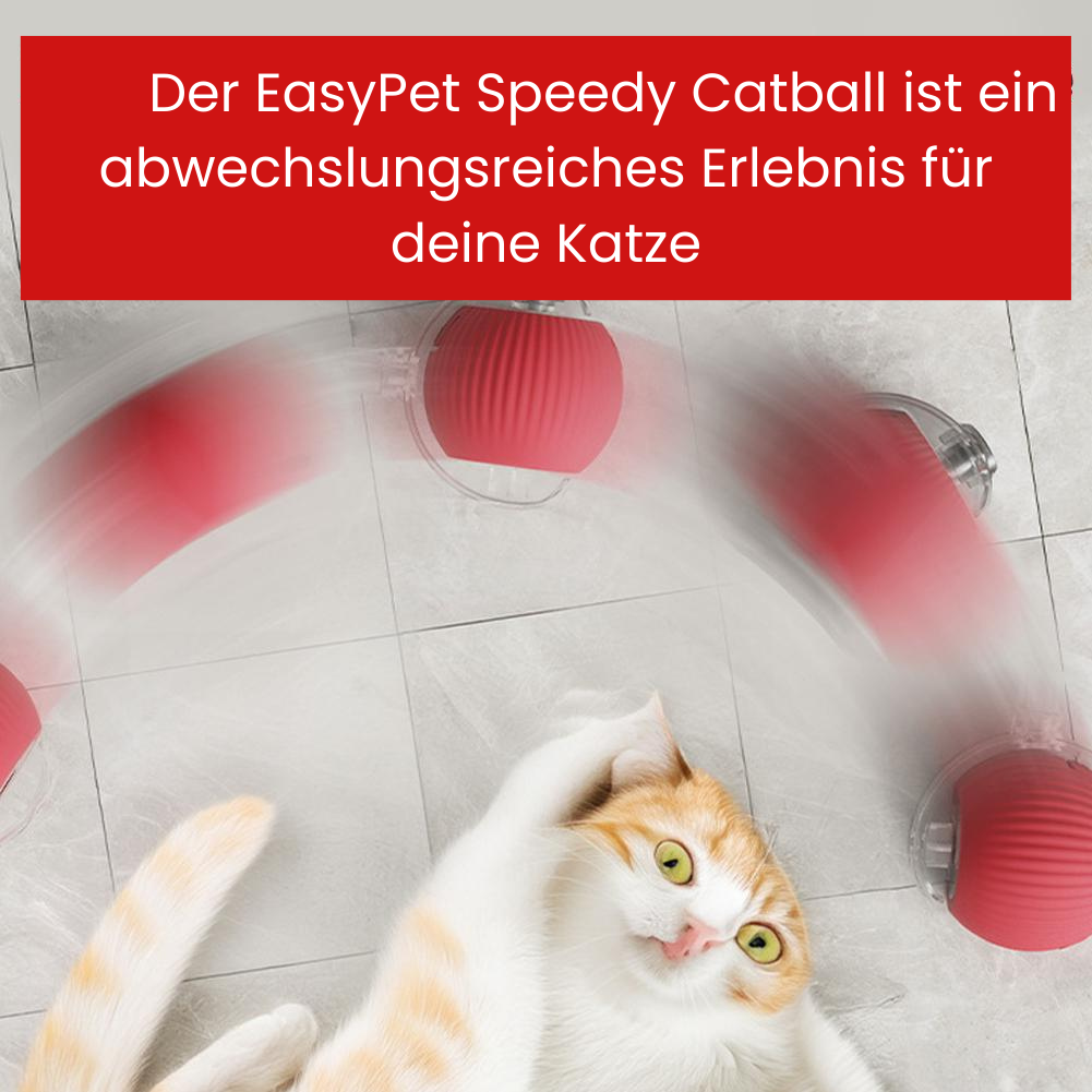 Speedy Catball