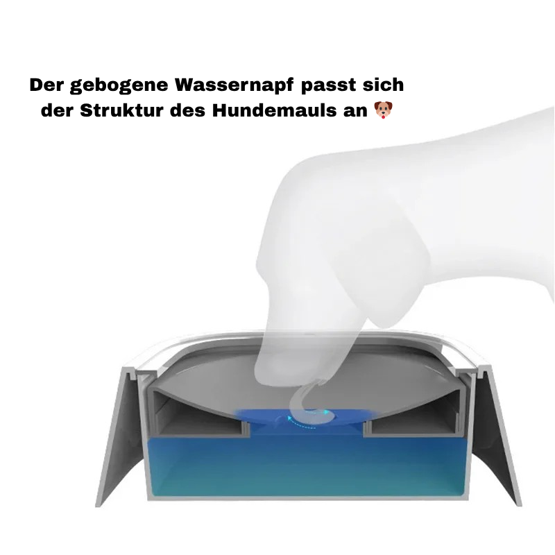 SplashFree Wassernapf