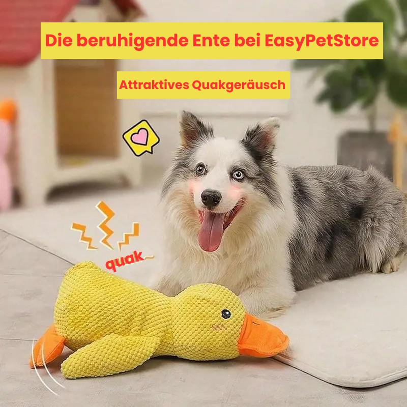 Quaki die Ente