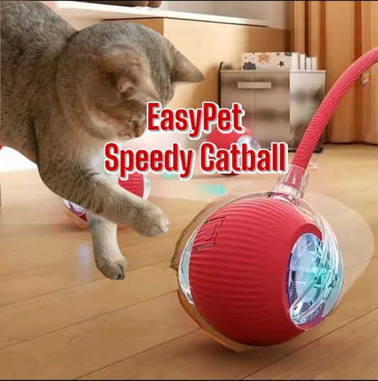 Speedy Catball