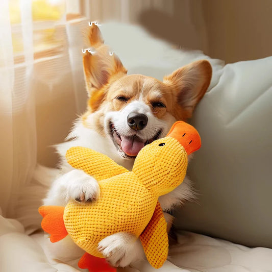Quaki die Ente