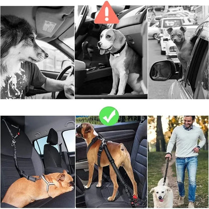 DogSecure Auto-Sicherheitsgurt