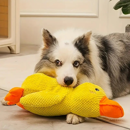 Quaki die Ente