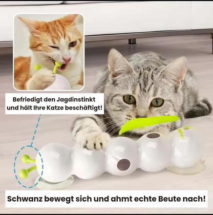Feline FunMaster