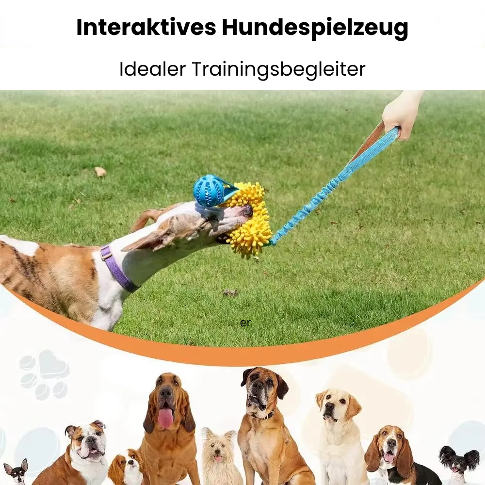 ElasticPaw