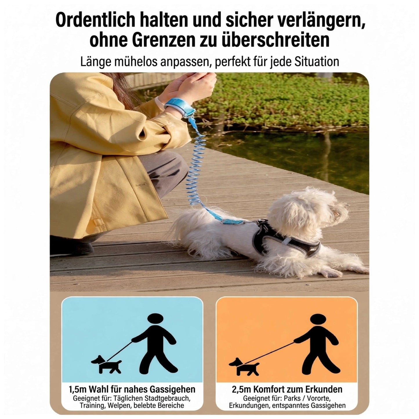 LOOPSY Freihand-Hundeleine