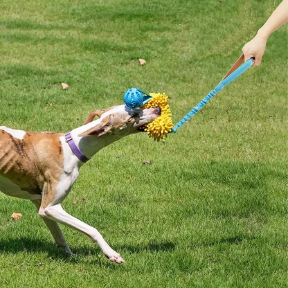 ElasticPaw